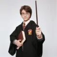 Harry Potter Holding Wand