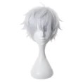 Gojo Satuoru Wig