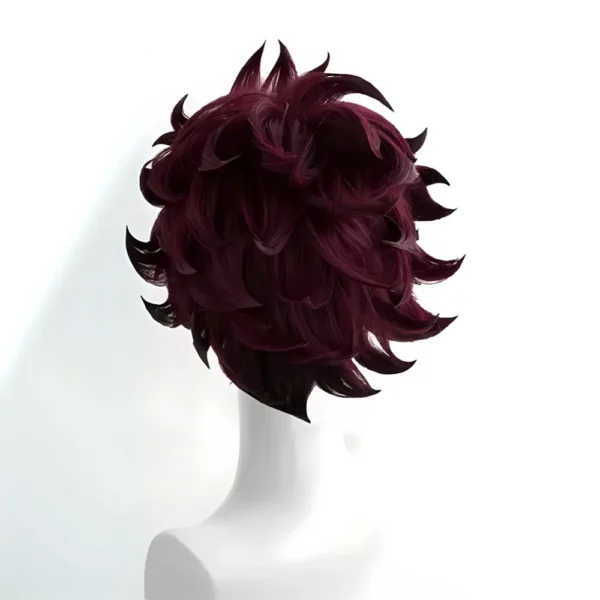 Tanjiro Wig Back Side Tanjiro Wig Back Side